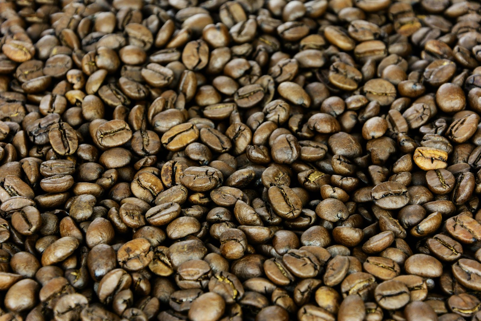 Café Djimmah